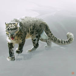 Snow Leopard