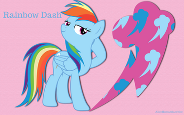 Cool Rainbow Dash WP