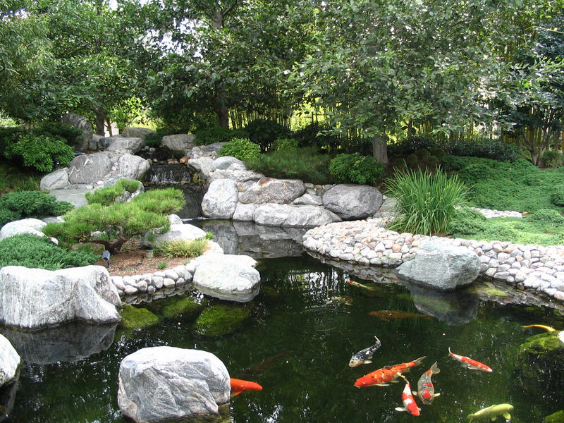 Japan garden and jounins of Konoha by slowlydrift on DeviantArt