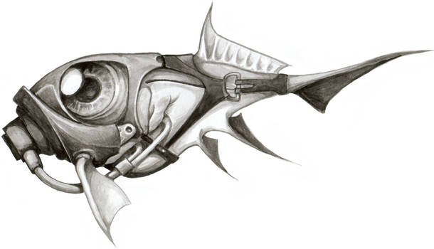 HUGE gasfish