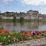 Francia 2014 - Amboise