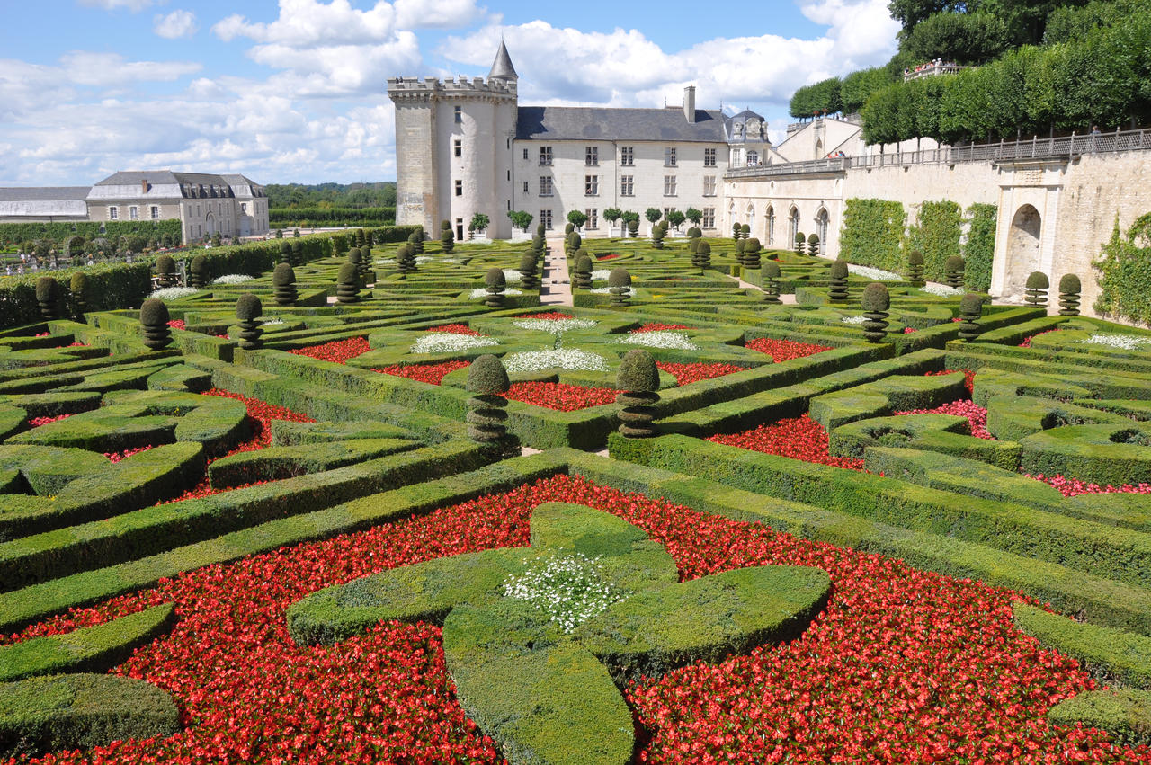 Francia 2014 - Villandry Geometry 02