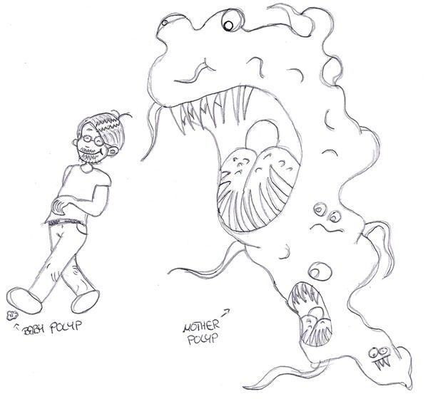 Rin + Polyp by Lau-sig on DeviantArt