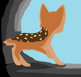 Fawn