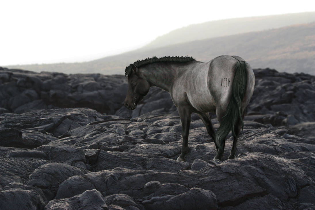 Reynier by VeerDesigns on DeviantArt