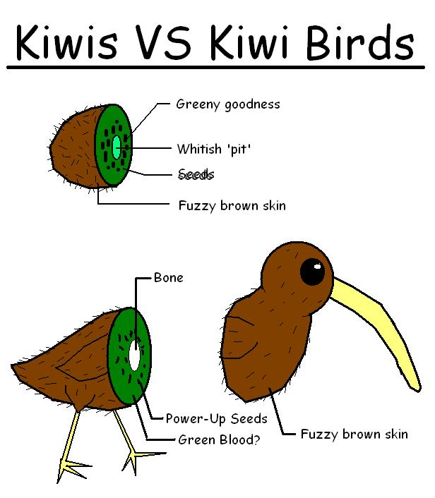 Kiwi VS Kiwi Bird