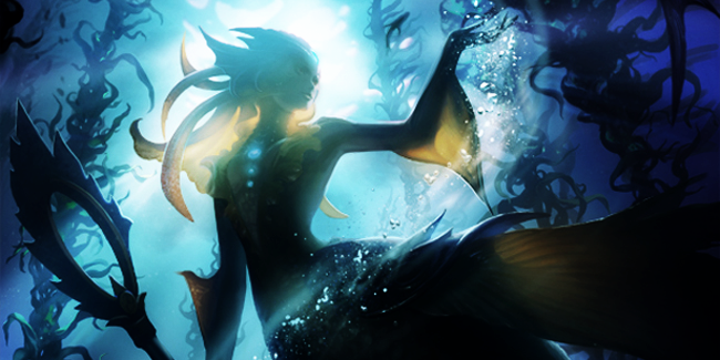 Nami banner