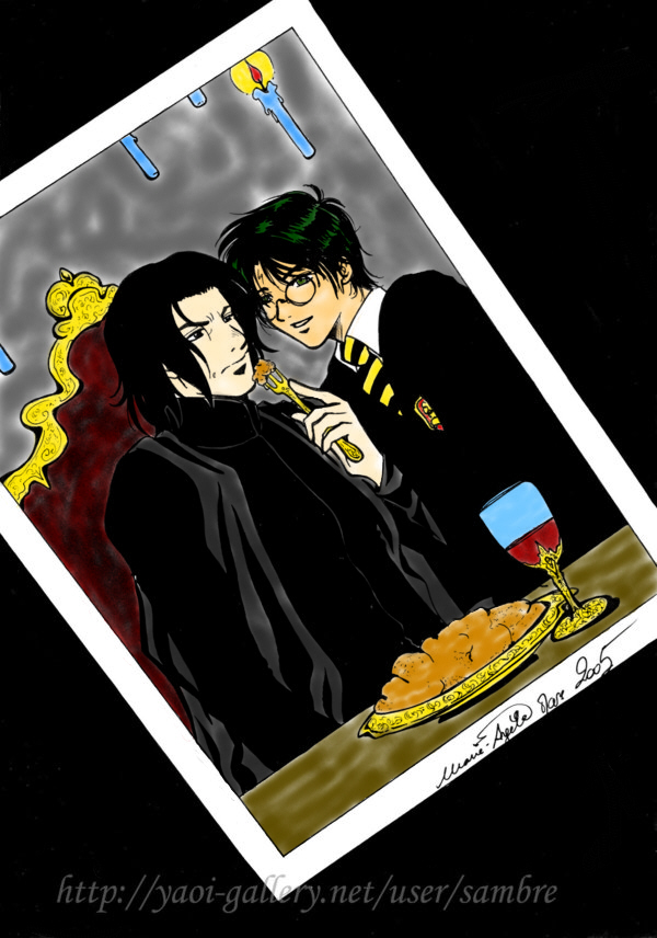 Snarry Library Snarry Picture by Kibou-h on DeviantArt