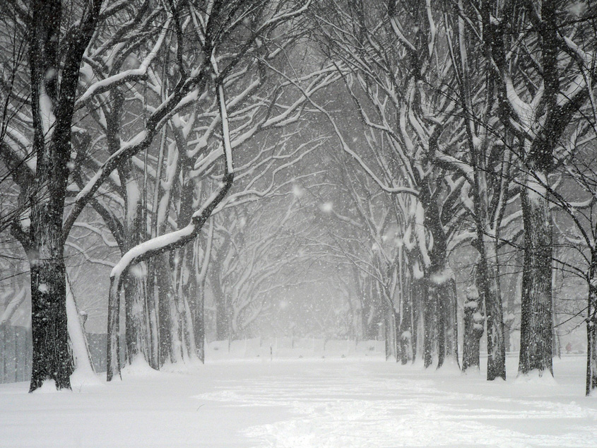 Central Park Snowstorm