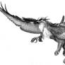 Another gryphon