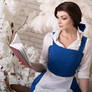 Belle - Beauty and the Beast (11)