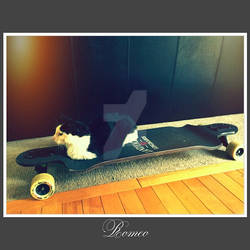 Romeo on Longboard cx