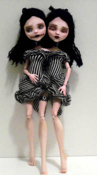 Conjoined Twin MH Draculauras