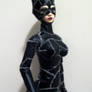 Catwoman WIP 02