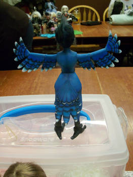 Blue Jay Phoenix (back view)