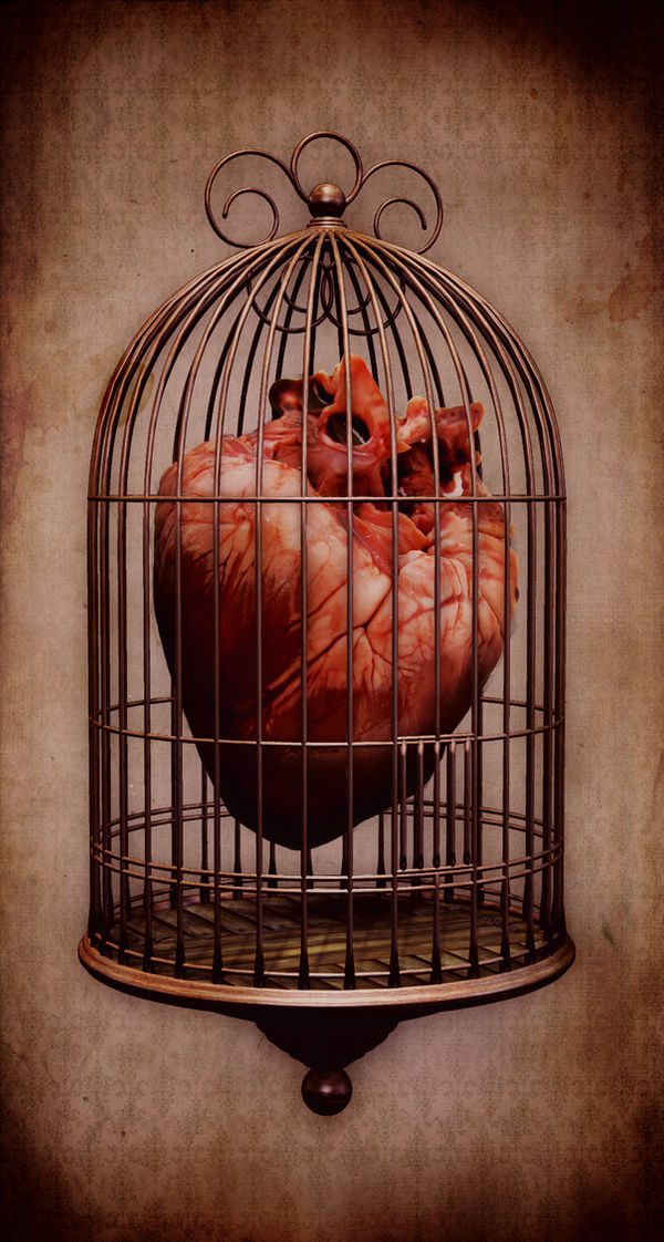 My Caged Heart