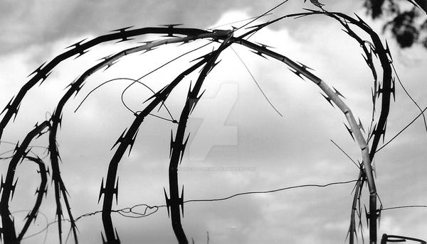 Animated Razor Wire Razor Wire No. 1 by thomassjohnson on DeviantArt