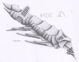 The Spine sketch