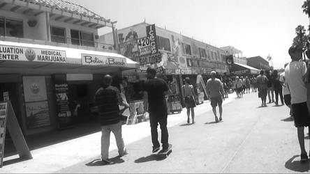 Venice Beach 2