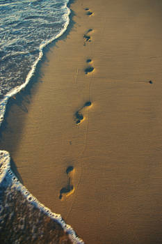 Footprints In The Sand