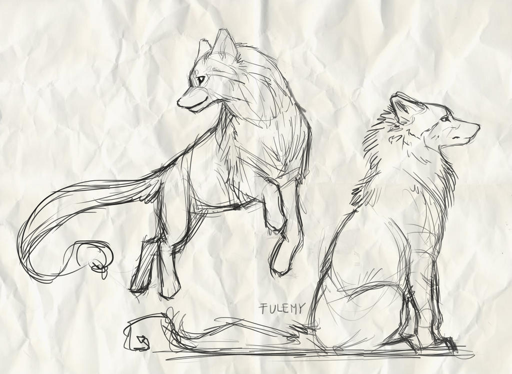 Wolves Sketches