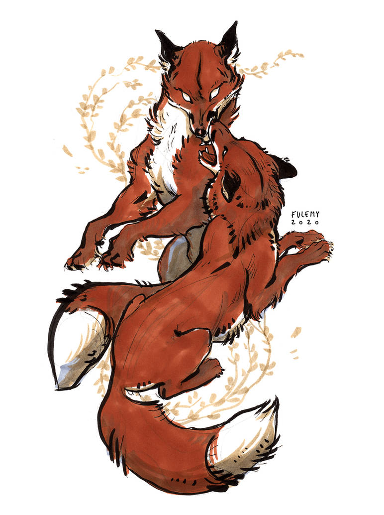 Deviantart Foxes Playing Foxes by Fulemy on DeviantArt