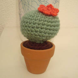 Crochet Cactus