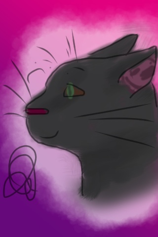 Phone Art : Mr. Whiskers