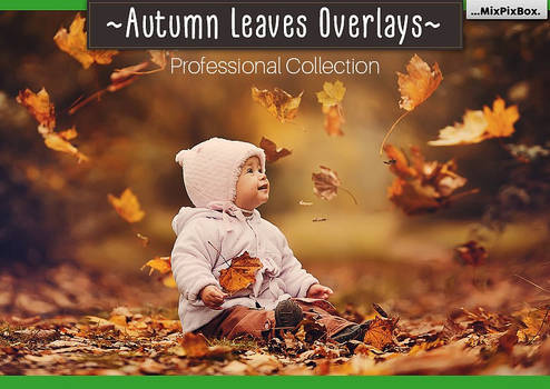 Autumn Leaves Overlays