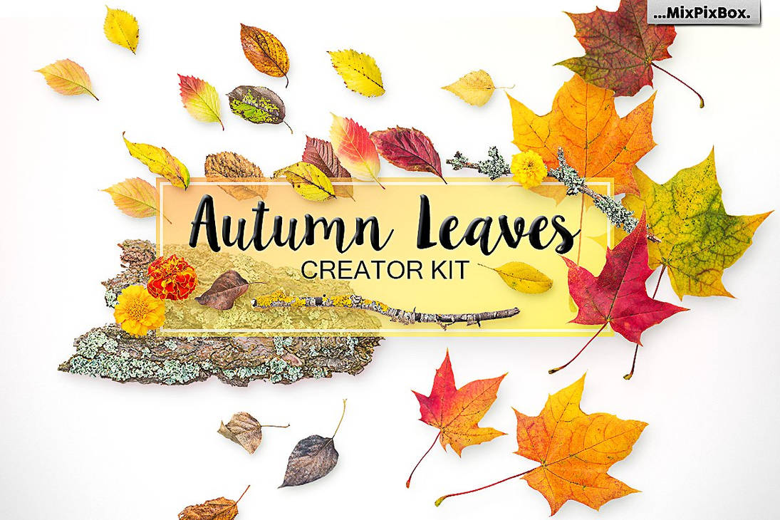 Autumn Leaves - Png Elements and Scenes by MixPixBox on DeviantArt