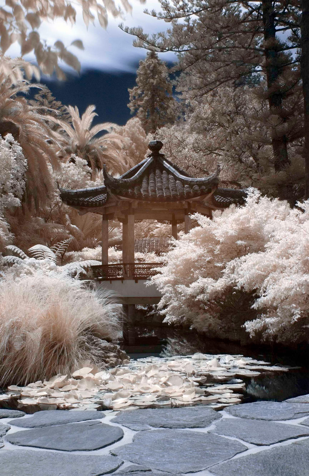 Chinese Garden, Nelson