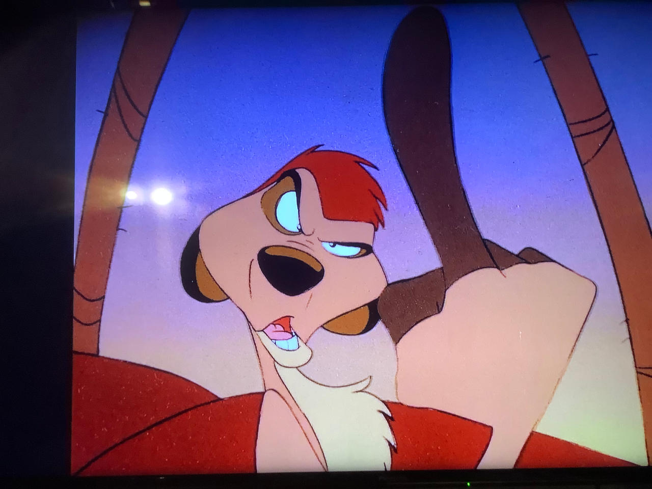 Timon R U Serious Timon, you are literally caught on 4K (my mistake) by ...