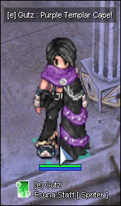 Purple Templar Cape