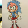 Sonic Hoodie - Amy Rose