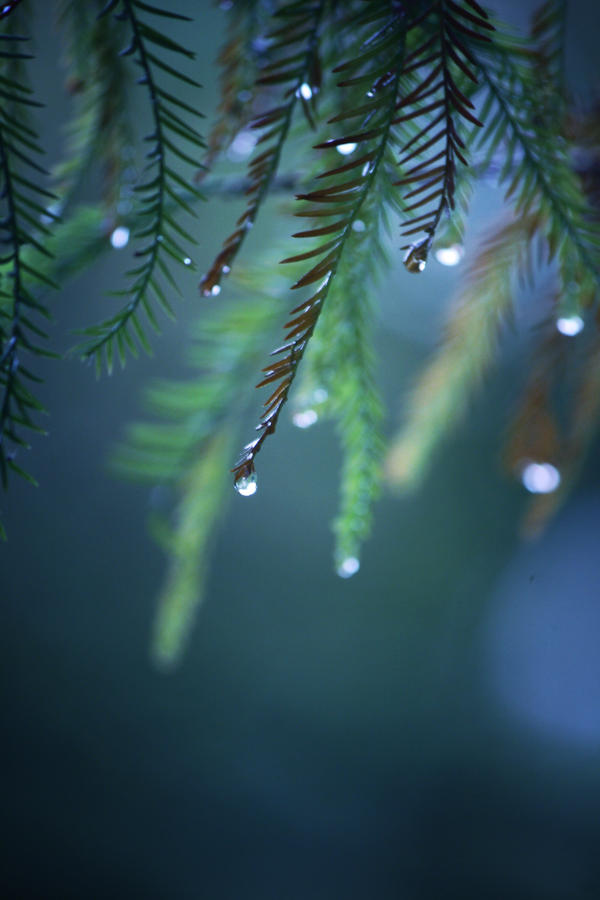 Droplets