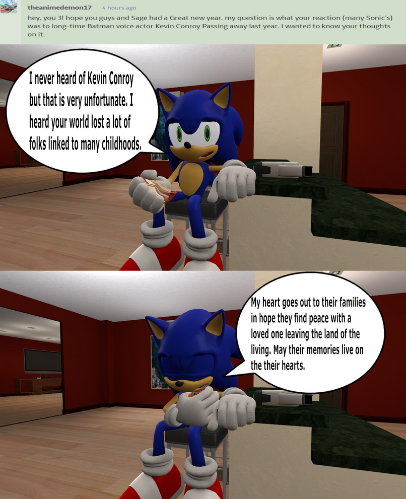 Ask Rotty, Sonic, And Sora Question 171 by BlueStarKnight on DeviantArt