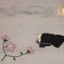 untitled - moth, moon, flowers