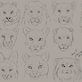 Sketchtime: Cat Heads