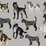 Adoptables: Dogs | Wolves - Open