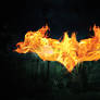 Flaming Bat