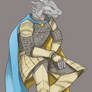 Feverick: Dragonborn Paladin