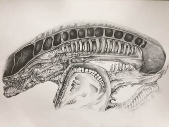 Xenomorph