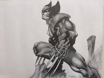 Wolverine