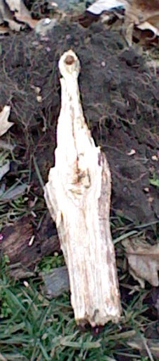 Wood found in cemetery