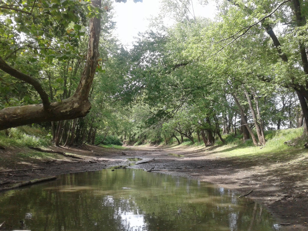 Riverside Park by Elizabethjunean on DeviantArt