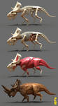 pachyrhinosaurus anatomy by epic3d