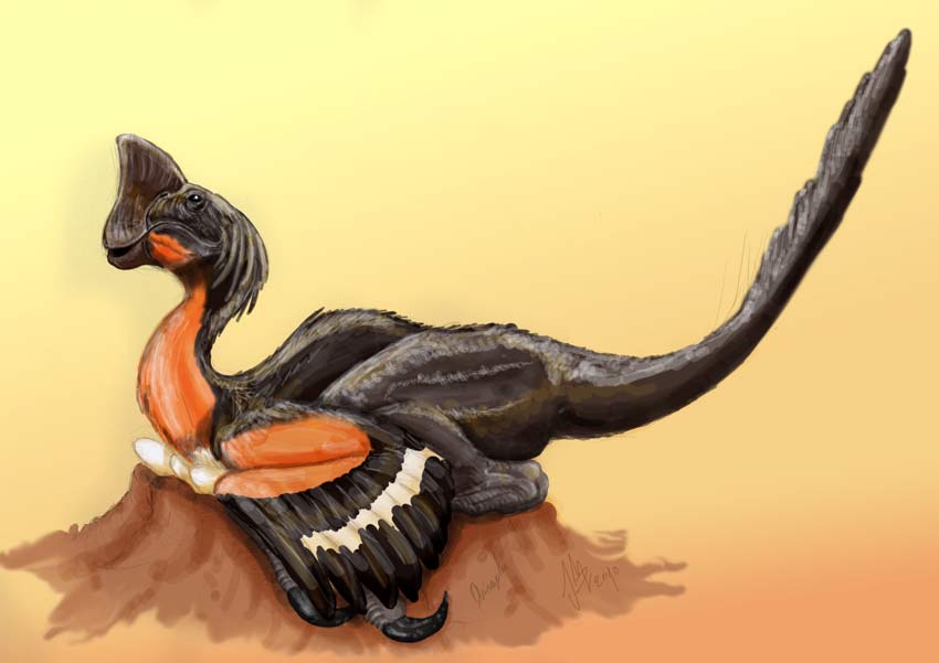 oviraptor empollando