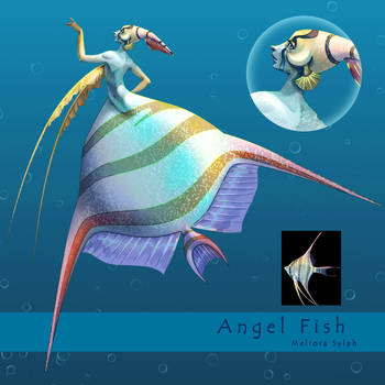 AngelFish - Mermay 2020