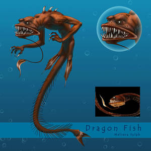 Dragon Fish - Mermay 2020