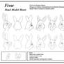 Fiver- Head Model Sheet